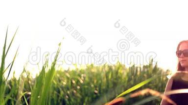 女孩黑色太阳镜穿过田野，穿过高大的草地肖像。